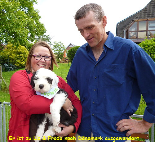 Er ist zu Lis & Frodo nach Dnemark ausgewandert...
