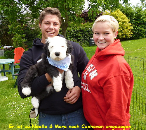 Er ist zu Noelle & Marc nach Cuxhaven umgezogen...