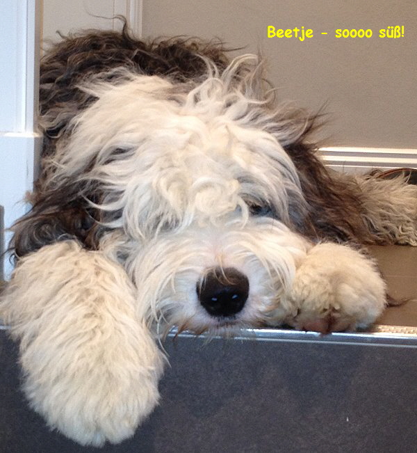 Beetje - soooo s!