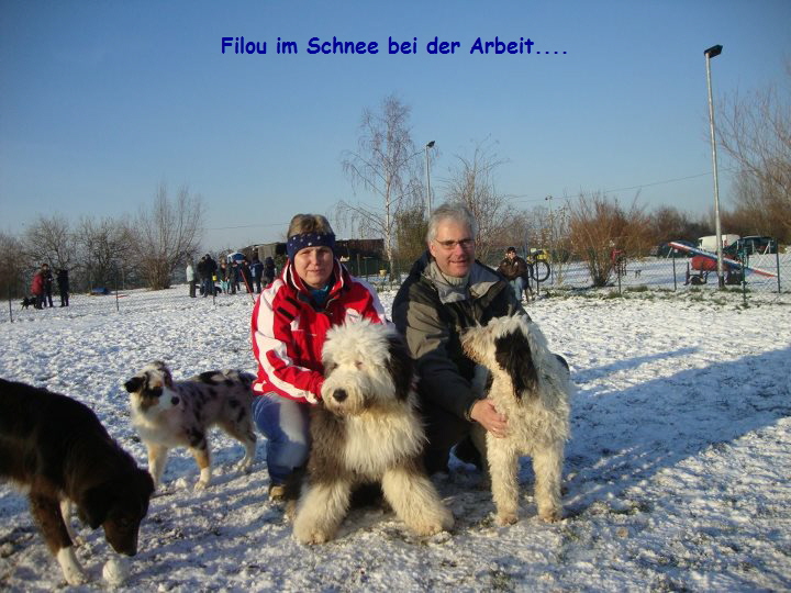 Filou im Schnee bei der Arbeit....