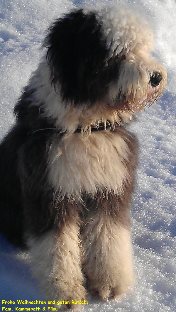 Frohe Weihnachten und guten Rutsch.
 Fam. Kammerath & Filou