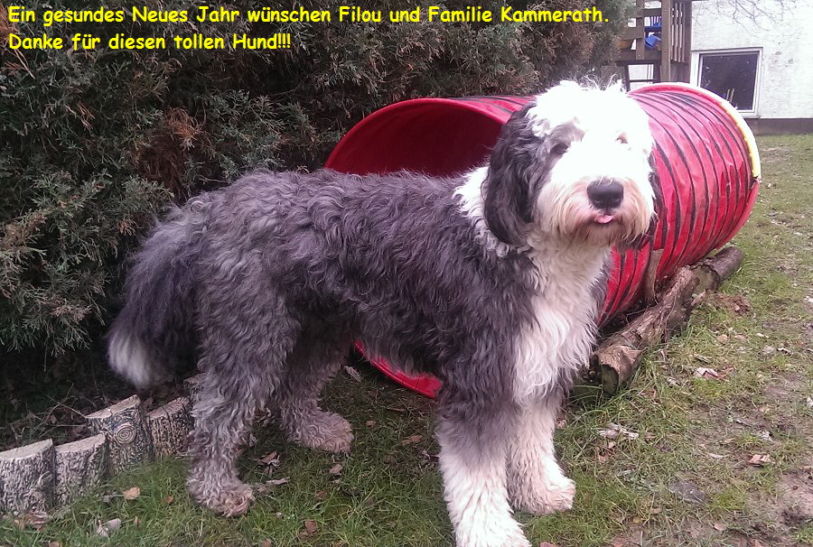 Ein gesundes Neues Jahr wnschen Filou und Familie Kammerath.
 Danke fr diesen tollen Hund!!!