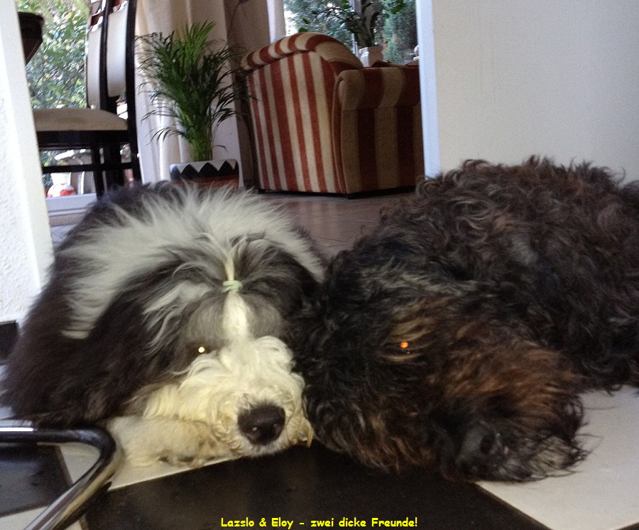 Lazslo & Eloy - zwei dicke Freunde!