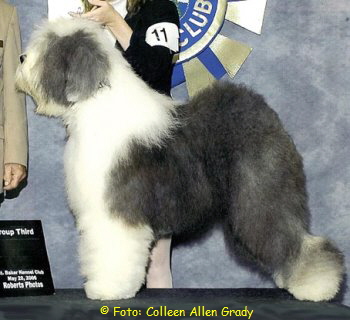  Foto: Colleen Allen Grady