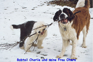 Charlie und seine Lebensgefhrtin Ohara