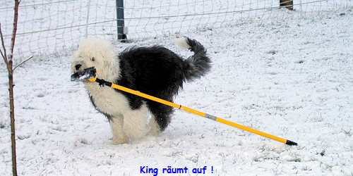 King rumt auf :-)