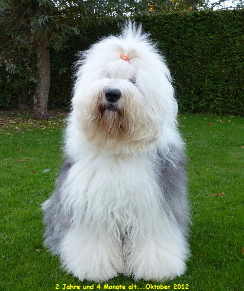 2 Jahre und 4 Monate alt...Oktober 2012