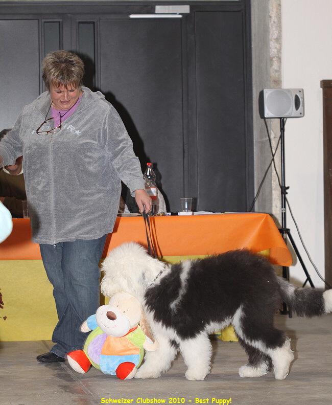Schweizer Clubshow 2010 - Best Puppy!