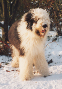 Benny