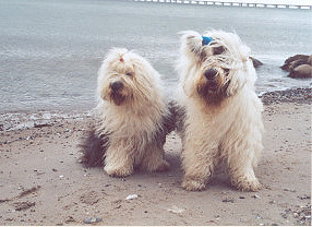 Momo & Dorian 2005