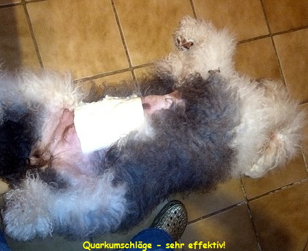 Quarkumschlge - sehr effektiv!