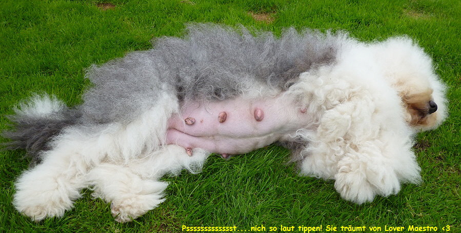 Pssssssssssssst....nich so laut tippen! Sie trumt von Lover Maestro <3