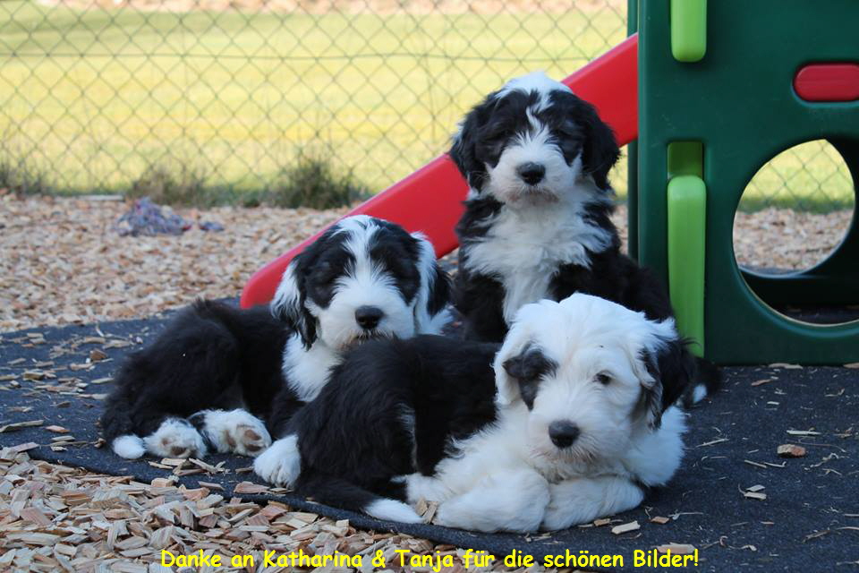 Danke an Katharina & Tanja fr die schnen Bilder!