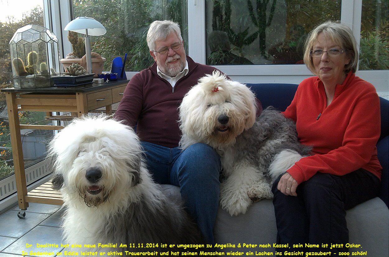Dr. Doolittle hat eine neue Familie! Am 11.11.2014 ist er umgezogen zu Angelika & Peter nach Kassel, sein Name ist jetzt Oskar.
In Gedenken an Eddie leistet er aktive Trauerarbeit und hat seinen Menschen wieder ein Lachen ins Gesicht gezaubert - sooo schn!