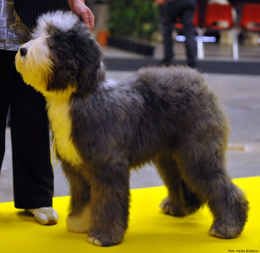 Foto: Heike Bilsheim