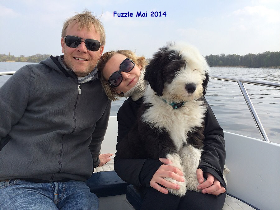 Fuzzle Mai 2014