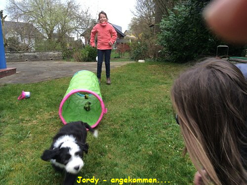 Jordy - angekommen....