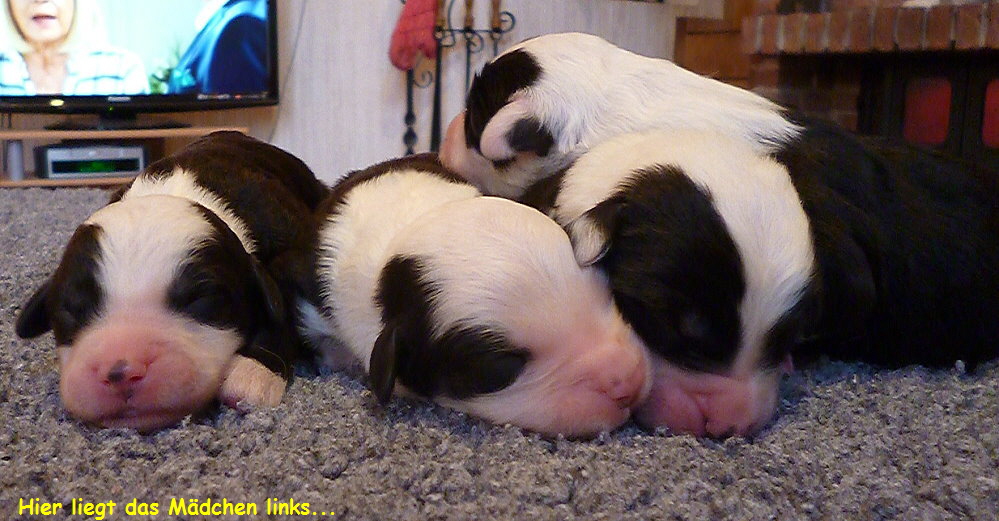 Hier liegt das Mdchen links...