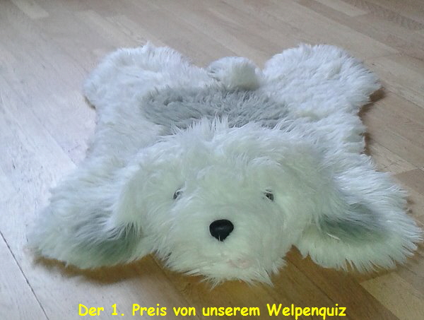 Der 1. Preis von unserem Welpenquiz