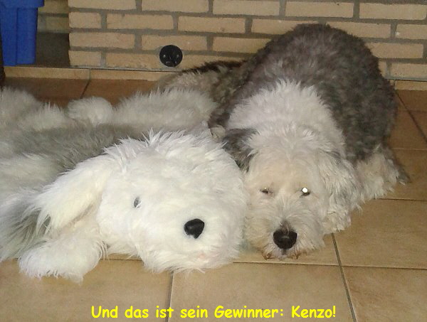 Und das ist sein Gewinner: Kenzo!