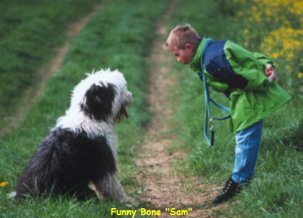 Funny Bone 