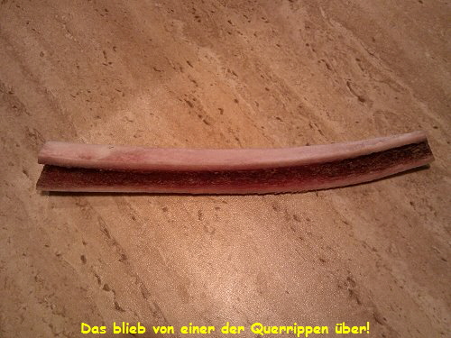 Das blieb von einer der Querrippen ber!