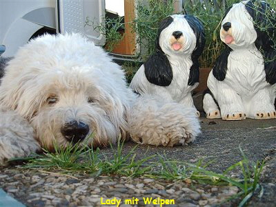 Lady mit Welpen