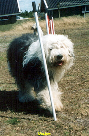 Onslow