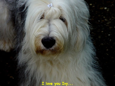 I love you Ivy...