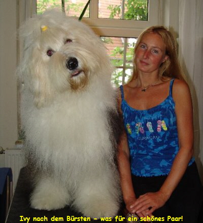 Ivy nach dem B�rsten - was f�r ein sch�nes Paar!