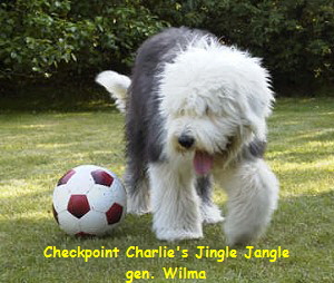 Checkpoint Charlie's Jingle Jangle
gen. Wilma
