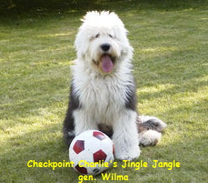 Checkpoint Charlie's Jingle Jangle
gen. Wilma