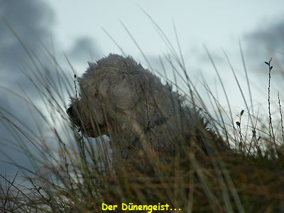 Der D�nengeist...