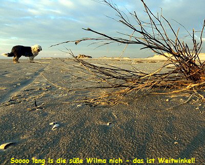 Soooo lang is die s��e Wilma nich - das ist Weitwinkel!