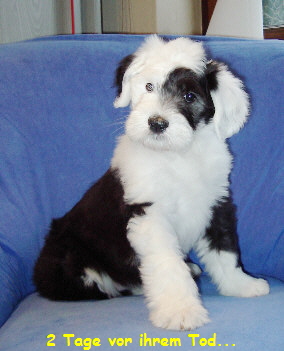 2 Tage vor ihrem Tod... 2 Tage vor ihrem Tod...