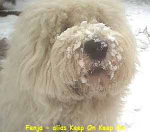 Fenja - alias Keep On Keep On