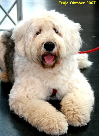 Fenja Oktober 2007