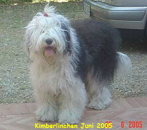 Kimberlinchen Juni 2005