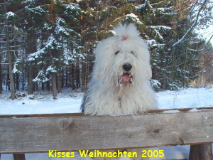 Kisses Weihnachten 2005