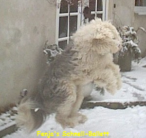 Fenja's Schnell-Ballett