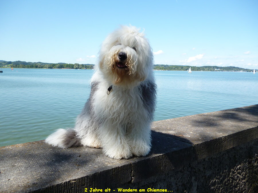 2 Jahre alt - Wandern am Chiemsee...