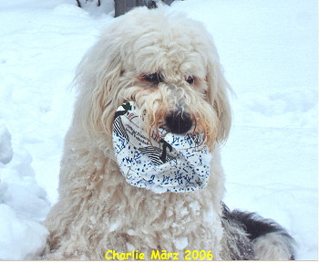 Charlie M�rz 2006
