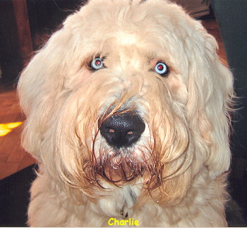 Charlie