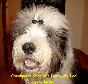 Checkpoint Charlie's Lenny My Lad
gen. Linus