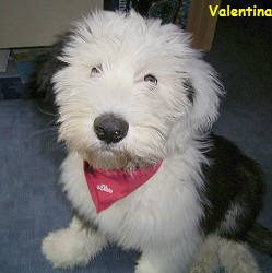 Valentina