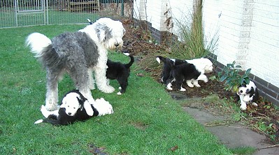 Spielen mit Mama