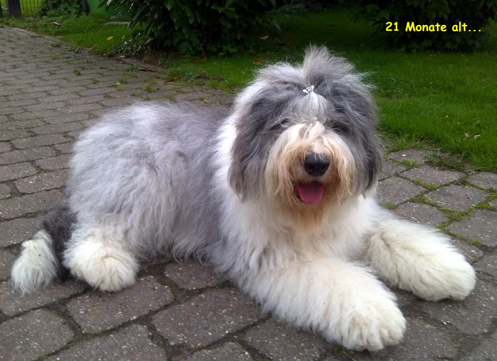21 Monate alt...