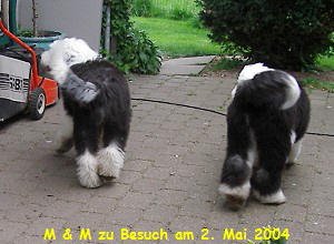 M & M zu Besuch am 2. Mai 2004
