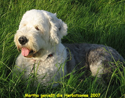 Martha geniet die Herbstsonne 2007