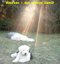Maureen...das sonnige Gemt
